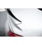 Spoiler Cap Opel Insignia OPC-Line Mk1