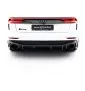 Fibre de Carbone Diffuseur Arrière Audi RSQ8 Mk1