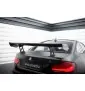 Carbon Spoiler With Internal Brackets Uprights BMW M2 F87 / 2 / 2 M-Pack F22