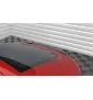 Spoiler Cap Audi TT 8J