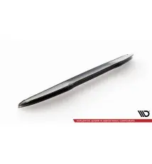 Spoiler Cap 3D Ford Puma ST / ST-Line X Mk1