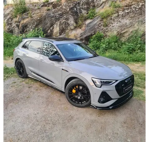 Lame Du Pare-Chocs Avant Audi e-Tron S-Line