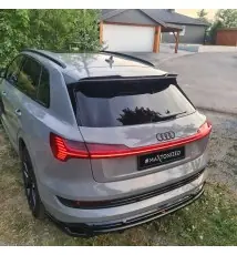 Arriere Splitter (avec une barre verticale) Audi e-Tron S-Line