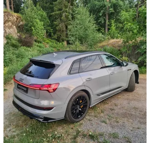 Arriere Splitter (avec une barre verticale) Audi e-Tron S-Line