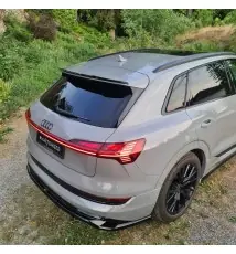 Arriere Splitter (avec une barre verticale) Audi e-Tron S-Line