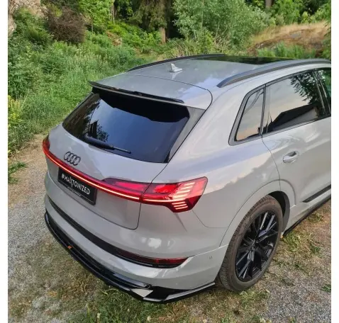 Arriere Splitter (avec une barre verticale) Audi e-Tron S-Line