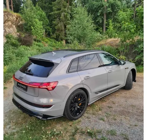 Rajouts Des Bas De Caisse Audi e-Tron S-Line