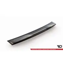 Spoiler Cap 3D Audi TT 8J