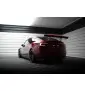 Carbon Spoiler + LED Tesla Model 3
