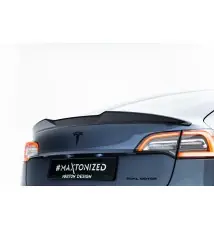 Spoiler Cap 3D Tesla Model 3