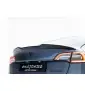Spoiler Cap 3D Tesla Model 3