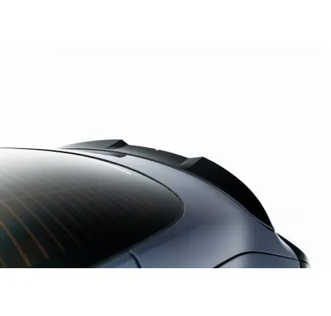 Spoiler Cap 3D Tesla Model 3