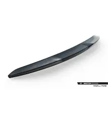 Spoiler Cap 3D Tesla Model 3