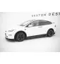 Ensemble Diffuseur Tesla Model X Mk1 Facelift
