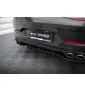 Ensemble Diffuseur Mercedes-AMG GT 53 4-Door Coupe X290