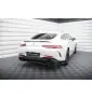Ensemble Diffuseur Mercedes-AMG GT 43 4 Door Coupe V8 Styling Package X290