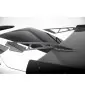Carbon Spoiler With Upper Swan Mounting + LED Chevrolet Corvette Stingray / Grand Sport C7
