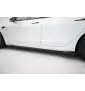 Rajouts Des Bas De Caisse V.1 Tesla Model 3 Performance Mk1 Facelift