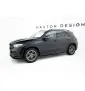Rajouts Des Bas De Caisse Mercedes-AMG / AMG-Line GLE SUV W167 / W167 Facelift