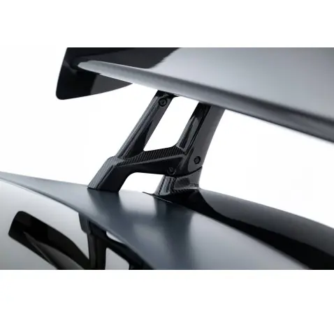 Carbon Spoiler Mercedes-AMG GTR C190 Facelift