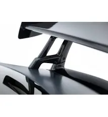 Carbon Spoiler + LED Mercedes-AMG GTR C190 Facelift