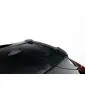 Spoiler Cap Lexus UX F-Sport Mk1