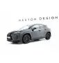 Ensemble Diffuseur Lexus UX F-Sport Mk1