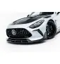 Fibre de Carbone Lame Du Pare-Chocs Avant Mercedes-AMG GT 63 / 55 / 63 S E Performance C192