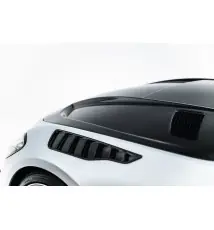 Prepreg Carbon Fiber Hood Mercedes-AMG GT 63 / 55 / 63 S E Performance C192