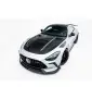 Prepreg Carbon Fiber Bodykit Mercedes-AMG GT 63 / 55 / 63 S E Performance C192