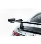 Prepreg Carbon Fiber Bodykit Mercedes-AMG GT 63 / 55 / 63 S E Performance C192