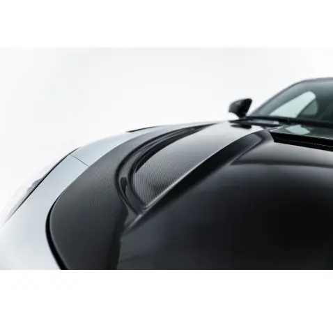 Prepreg Carbon Fiber Bodykit Mercedes-AMG GT 63 / 55 / 63 S E Performance C192