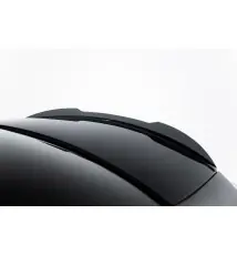 Spoiler Cap Mercedes-AMG CLS 53 C257