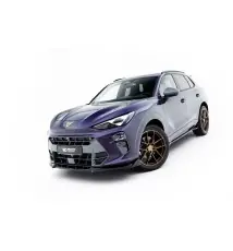 Lame Du Pare-Chocs Avant V.1 Cupra Terramar Mk1