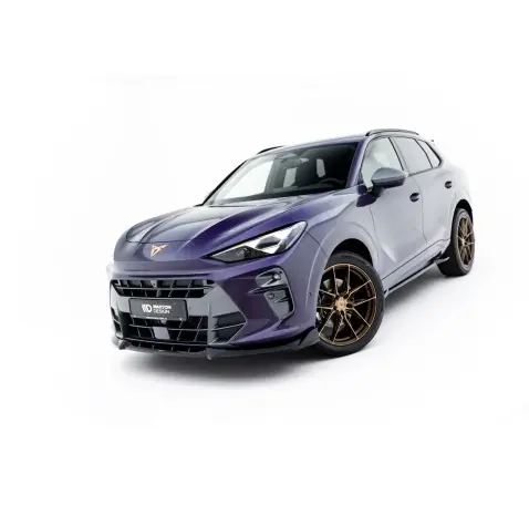 Lame Du Pare-Chocs Avant V.1 Cupra Terramar Mk1