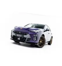 Lame Du Pare-Chocs Avant V.1 Cupra Terramar Mk1