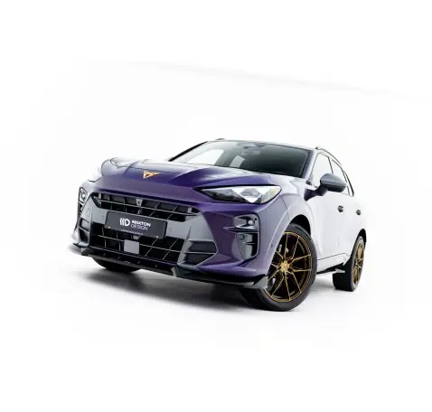 Lame Du Pare-Chocs Avant V.1 Cupra Terramar Mk1