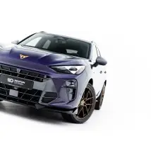 Lame Du Pare-Chocs Avant V.1 Cupra Terramar Mk1