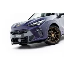 Lame Du Pare-Chocs Avant V.1 Cupra Terramar Mk1