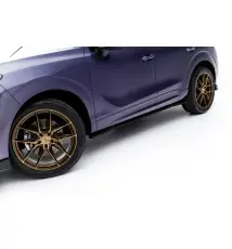 Rajouts Des Bas De Caisse Cupra Terramar Mk1