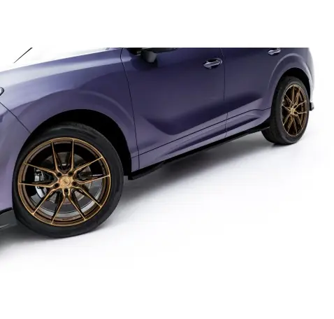 Rajouts Des Bas De Caisse Cupra Terramar Mk1