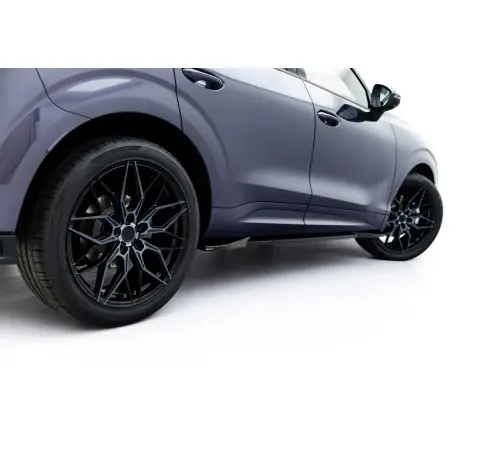 Rajouts Des Bas De Caisse Cupra Terramar Mk1