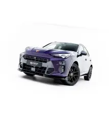 Ensemble Diffuseur V.1 Cupra Terramar Mk1