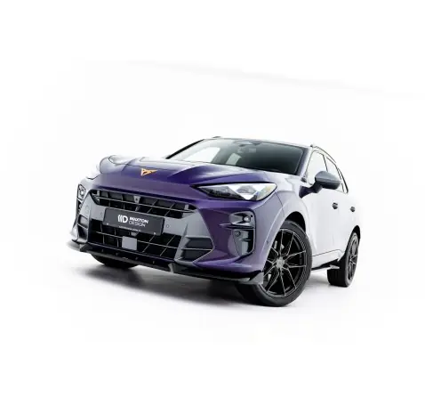 Ensemble Diffuseur V.1 Cupra Terramar Mk1