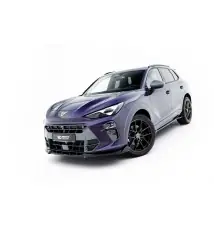 Ensemble Diffuseur V.1 Cupra Terramar Mk1