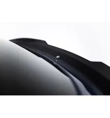 Spoiler Cap Cupra Tavascan Mk1