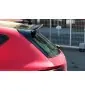 Spoiler Cap V.1 Seat Leon Cupra Hatchback Mk3