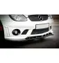 LAME DU PARE-CHOCS AVANT MERCEDES SLK R170 POUR LE PARE-CHOCS AMG 204