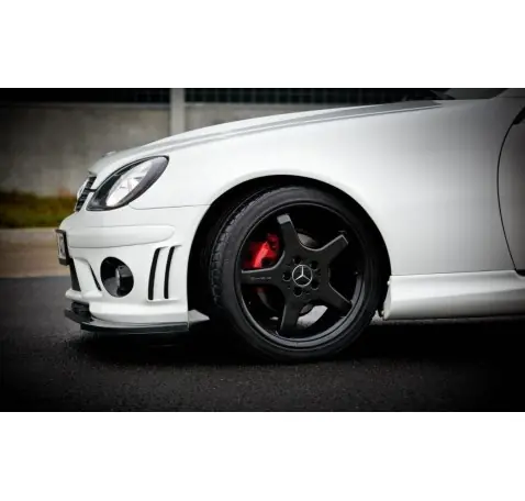 LAME DU PARE-CHOCS AVANT MERCEDES SLK R170 POUR LE PARE-CHOCS AMG 204