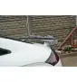 Spoiler Cap Audi TT RS 8J